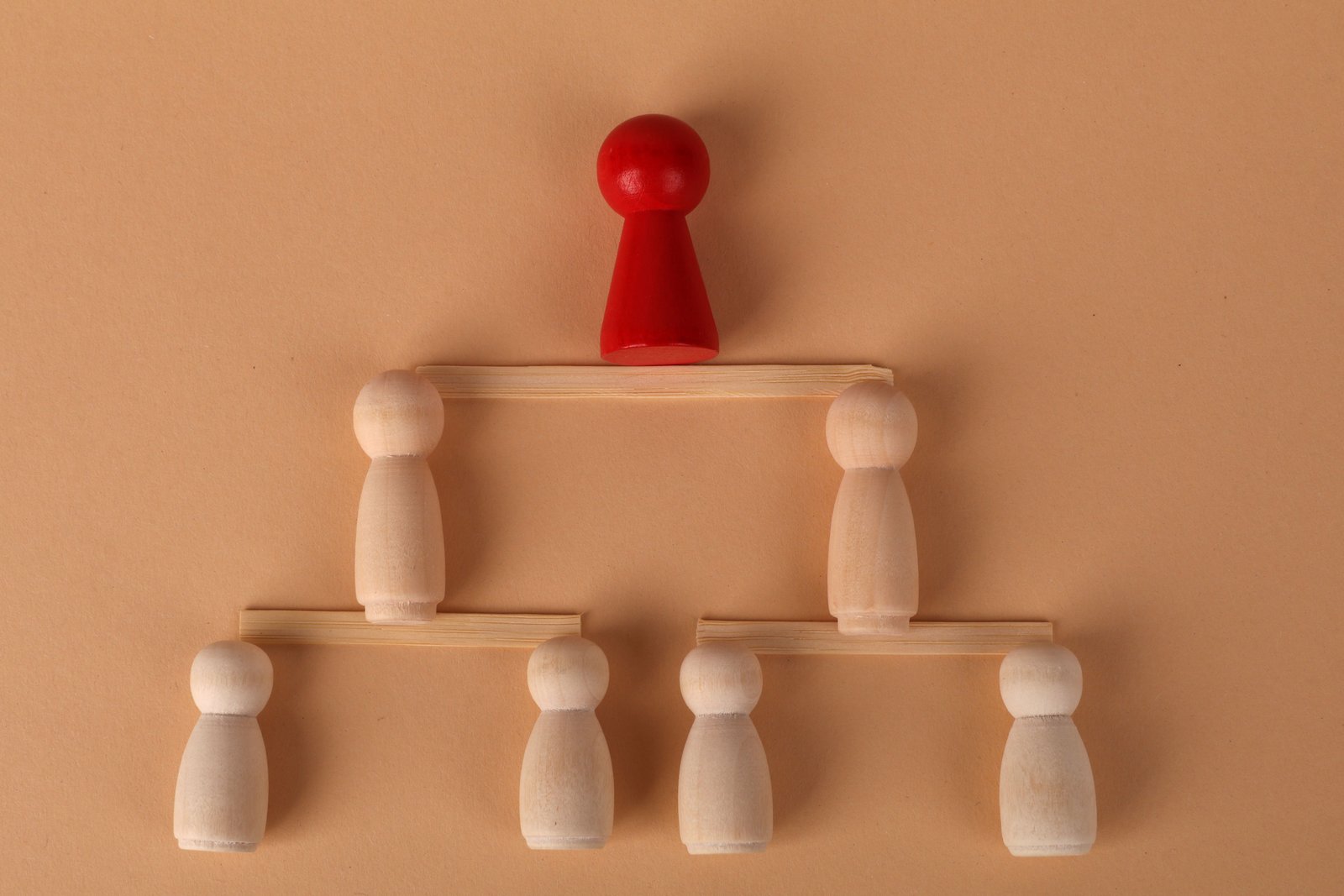 Outsourcing Vendor Org Chart